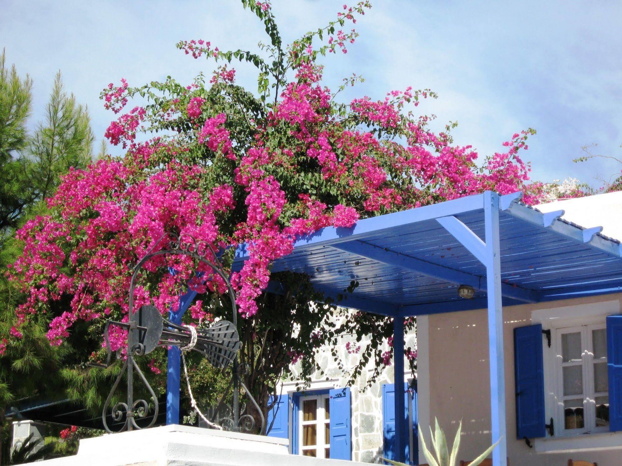 Paradise Resort Akrotírion Exteriér fotografie